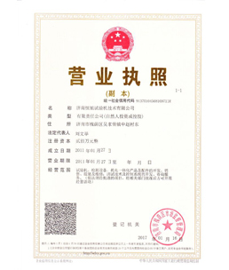 Enterprise business license